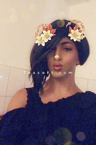 trans escort creteil|Trans Créteil